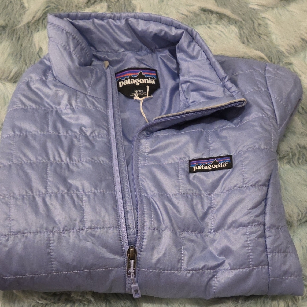 Patagonia Kids Sky Blue Puffer Jacket